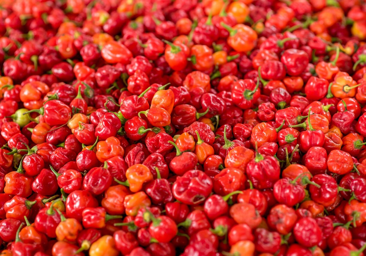 ata-rodo-red-pepper-grade-a-12-5kg